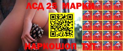 стафф Сланцы