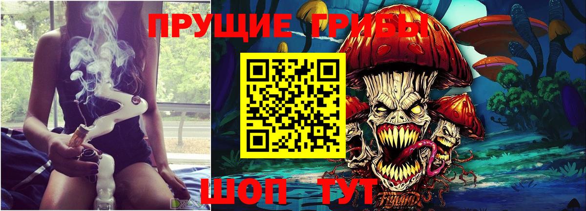 Петропавловск-Камчатский  Псилоцибиновые грибы Psilocybine cubensis  Вход с VPN 