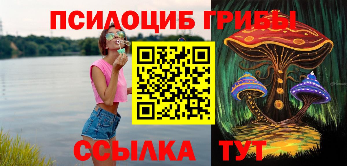 Псилоцибиновые грибы Psilocybine cubensis Петропавловск-Камчатский